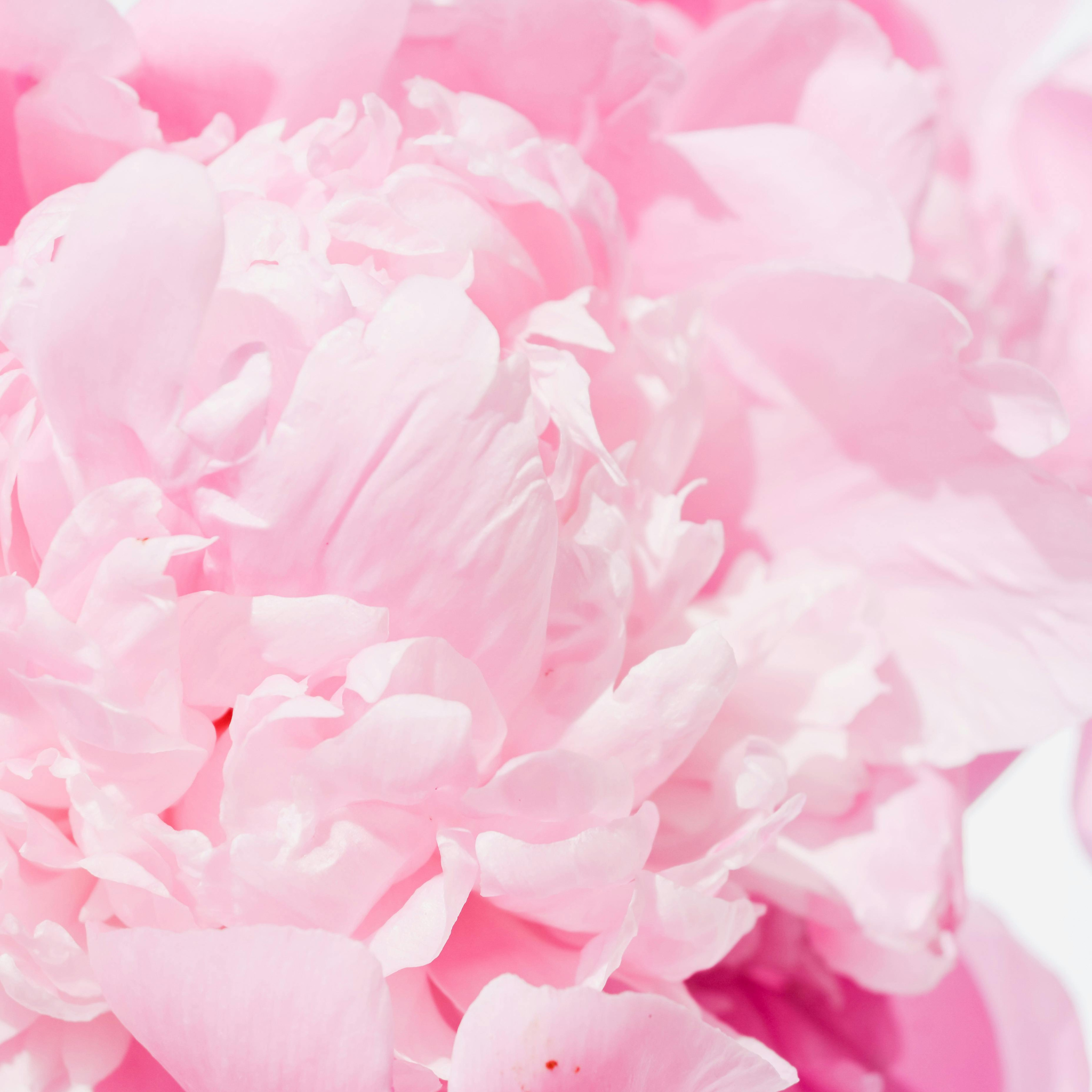 Floral (Room Sprays)