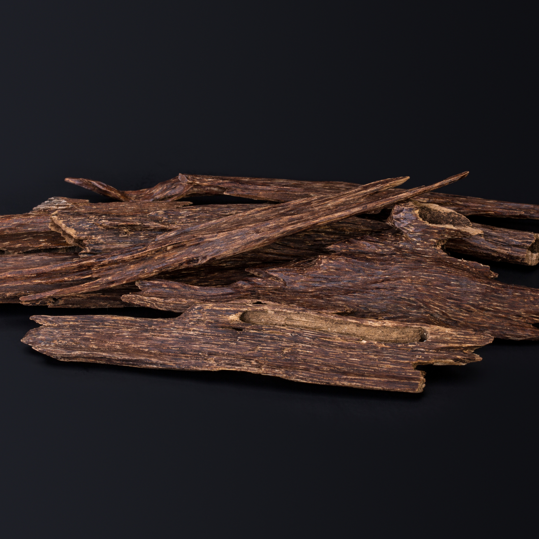 Woody & Oud
