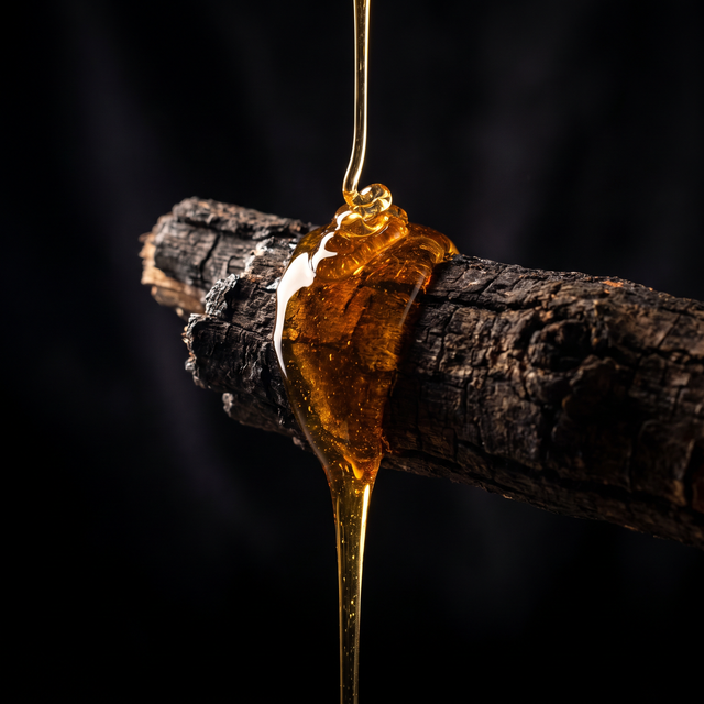 Inspired by Serge Lutens, Scent Room