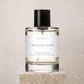1 Million Lucky by Scent Room — 100ml extrait de parfum